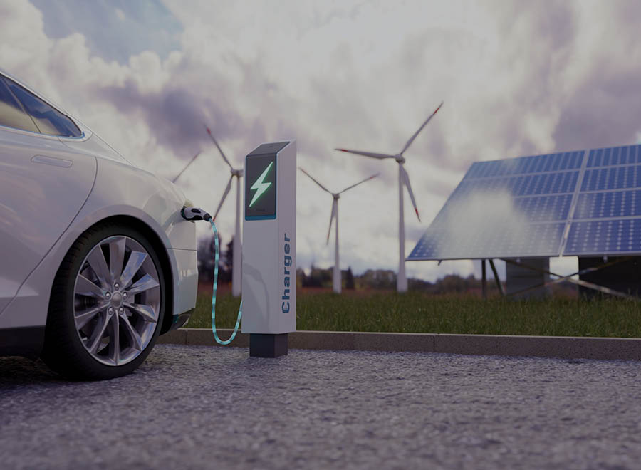 Image of a forest representing Chimu Adventure's Sustainability and Responsible travel guidelines  