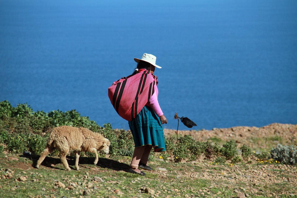 traditional peruvian woman walking with dog view over lake