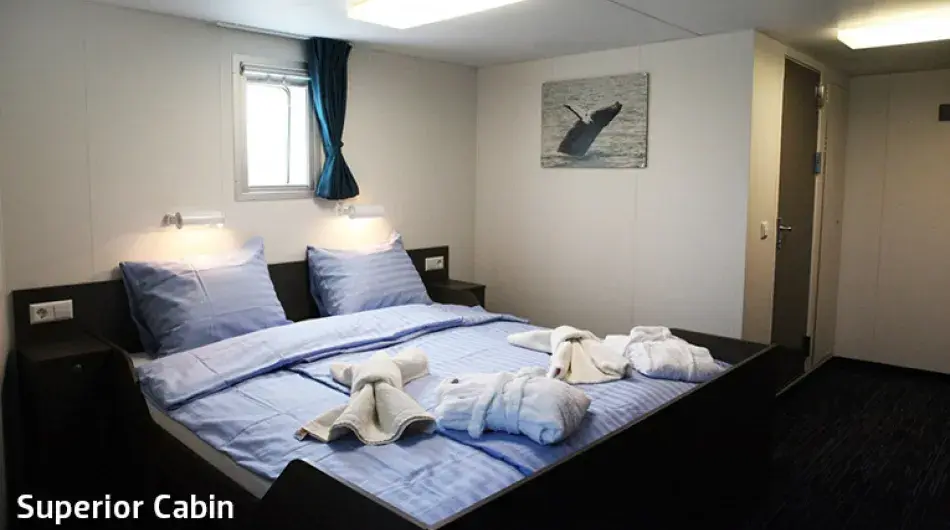 Ortelius Superior Cabin