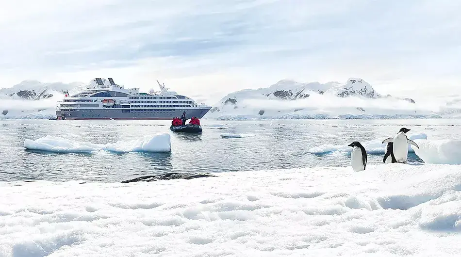 L'Austral Zodiac Cruise and Penguins