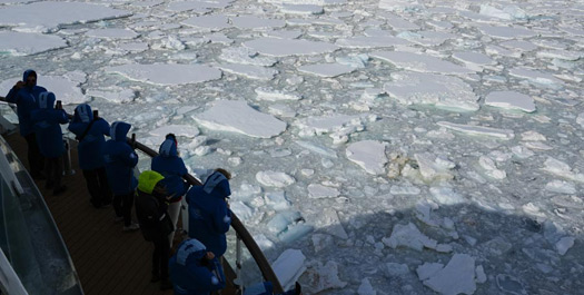 Crossing the Drake Passage - Days 10 & 11