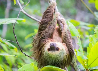 Panama City International Airport Guide